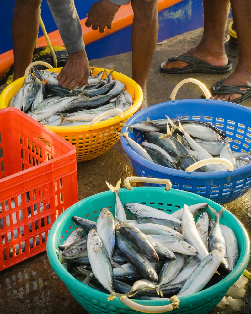 Fishermen